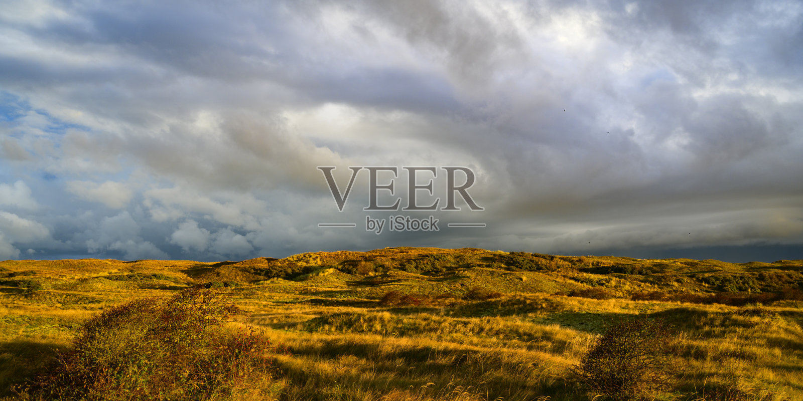 一个风雨交加的秋天早晨,特塞尔沙丘照片摄影图片