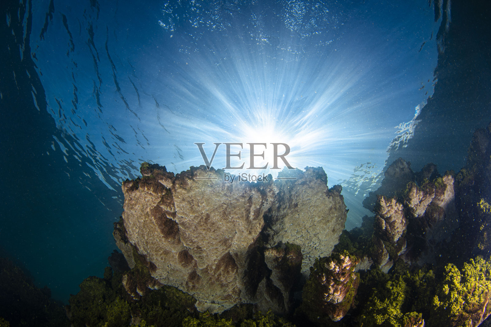 湖上货车潜水照片摄影图片