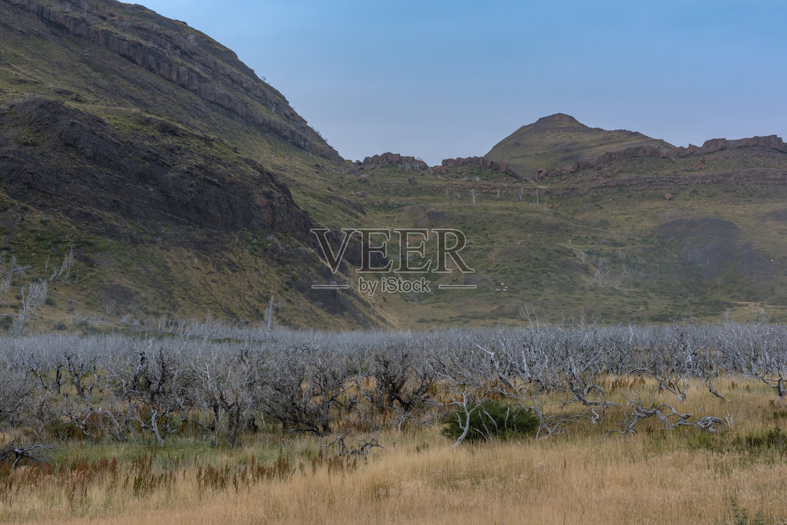 智利Torres del Paine国家公园的景观照片摄影图片