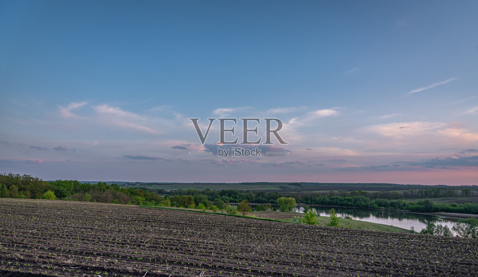 夏日清晨,田野间照片摄影图片
