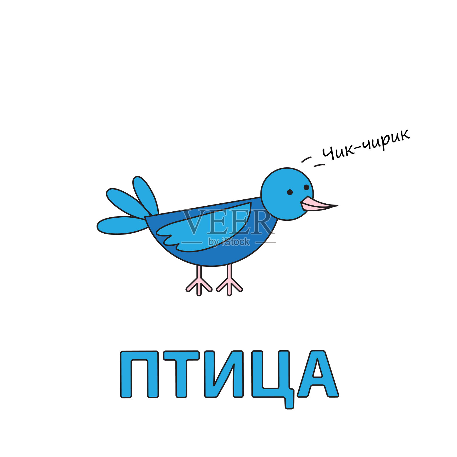 卡通鸟儿童抽认卡插画图片素材