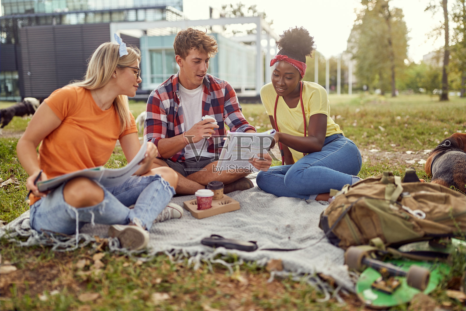 一群学生和他们的狗坐在公园的草地上分析课文。友谊,休息,宠物,野餐照片摄影图片