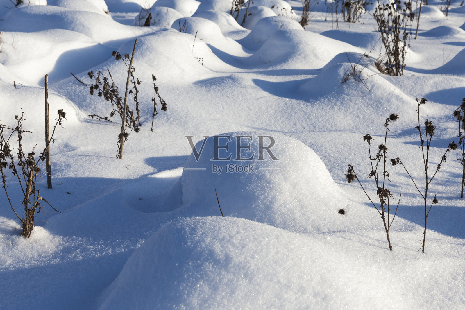 冬天雪花纷飞照片摄影图片