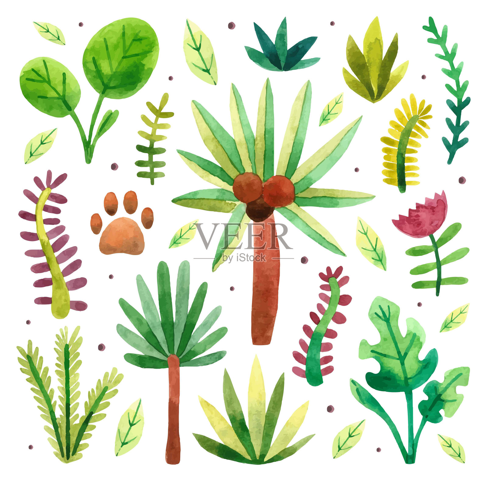 雨林,丛林。热带植物,乔木,棕榈,灌木,草本植物,花,怪物。水彩手绘插图。插画图片素材