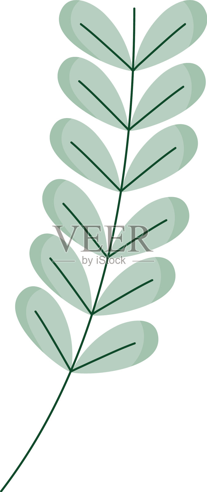 分支用树叶设计元素图片
