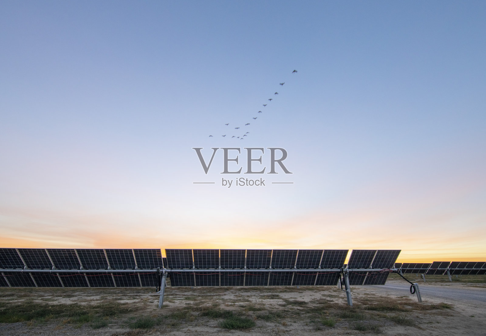 加州中部的太阳能发电厂照片摄影图片