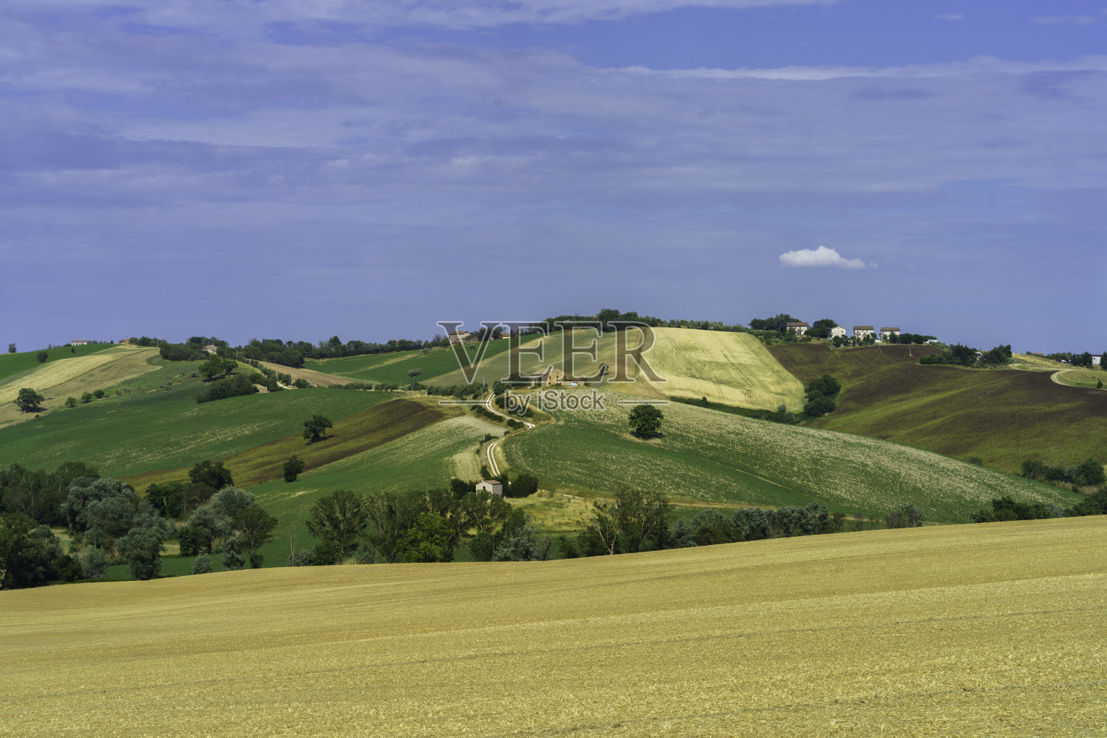 意大利Marche的Ostra Vetere和Cingoli附近的乡村景观照片摄影图片