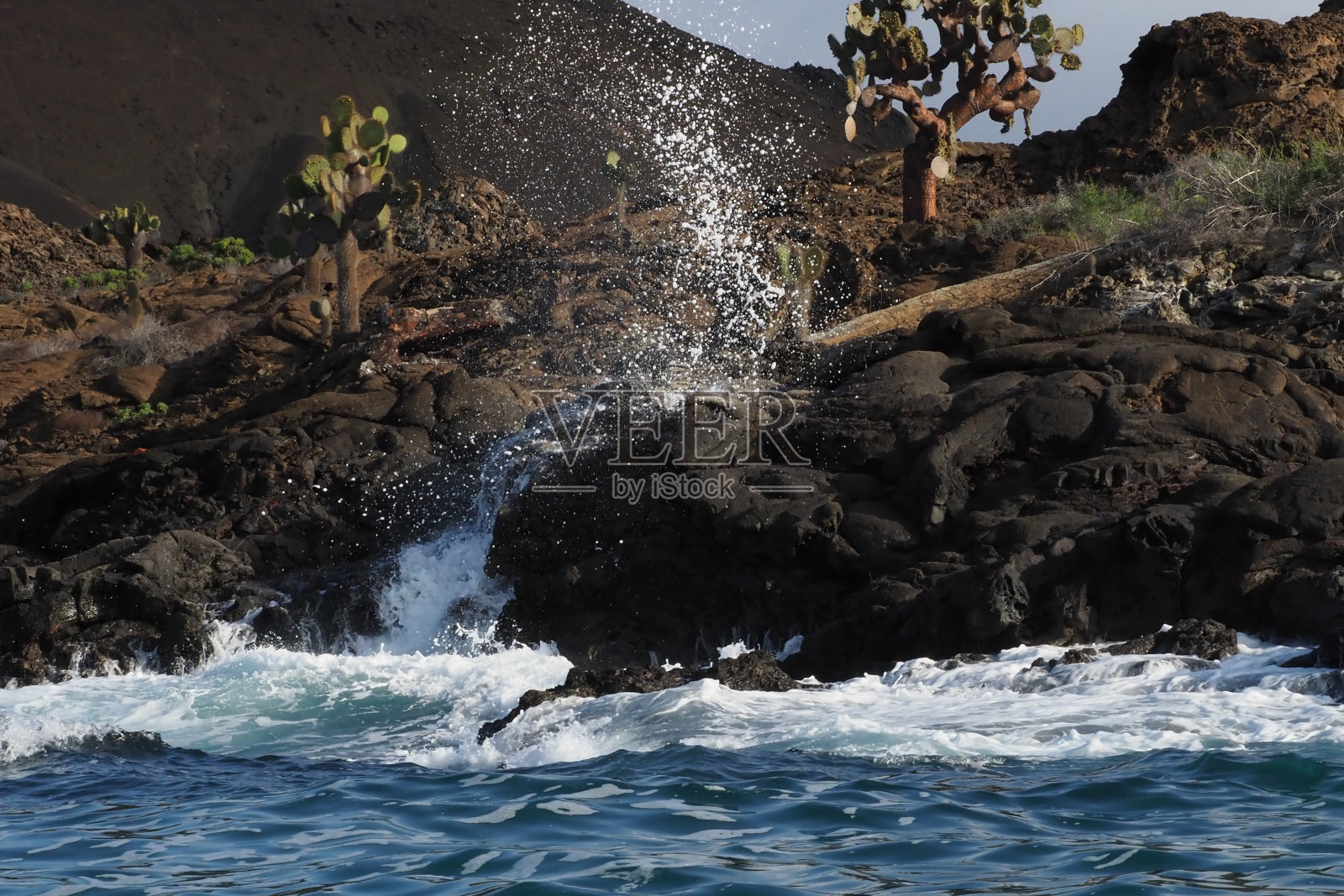 Bartolome,加拉帕戈斯群岛照片摄影图片