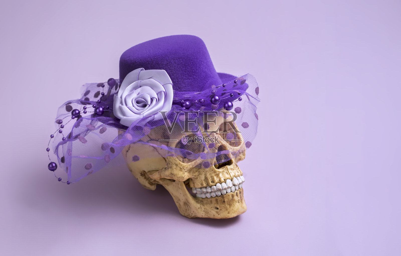 头戴轻浮女士帽,头戴面纱的骷髅,紫色抽象构图照片摄影图片