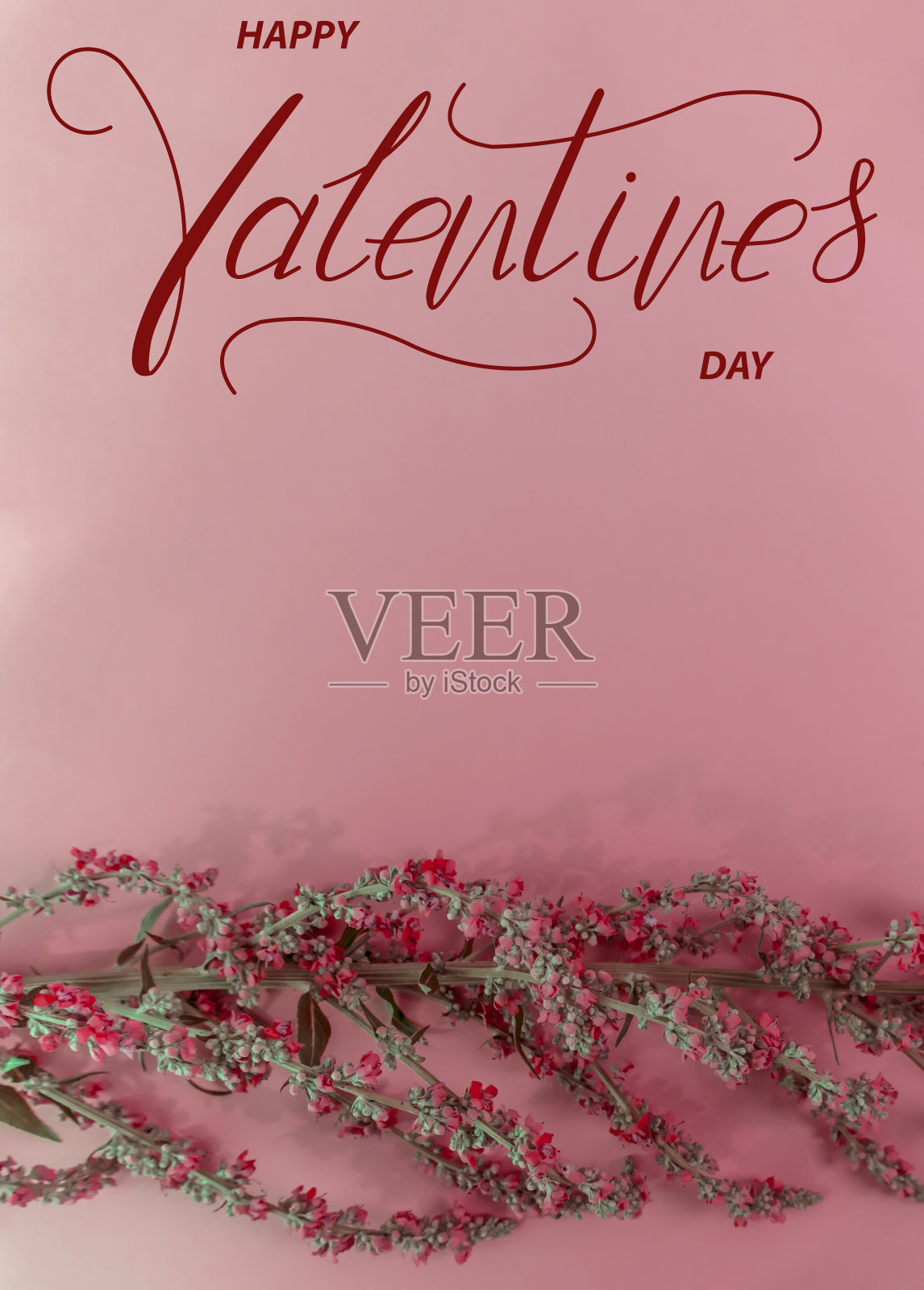 情人节快乐!卡片,在线横幅,贺卡,平躺在情人节照片摄影图片