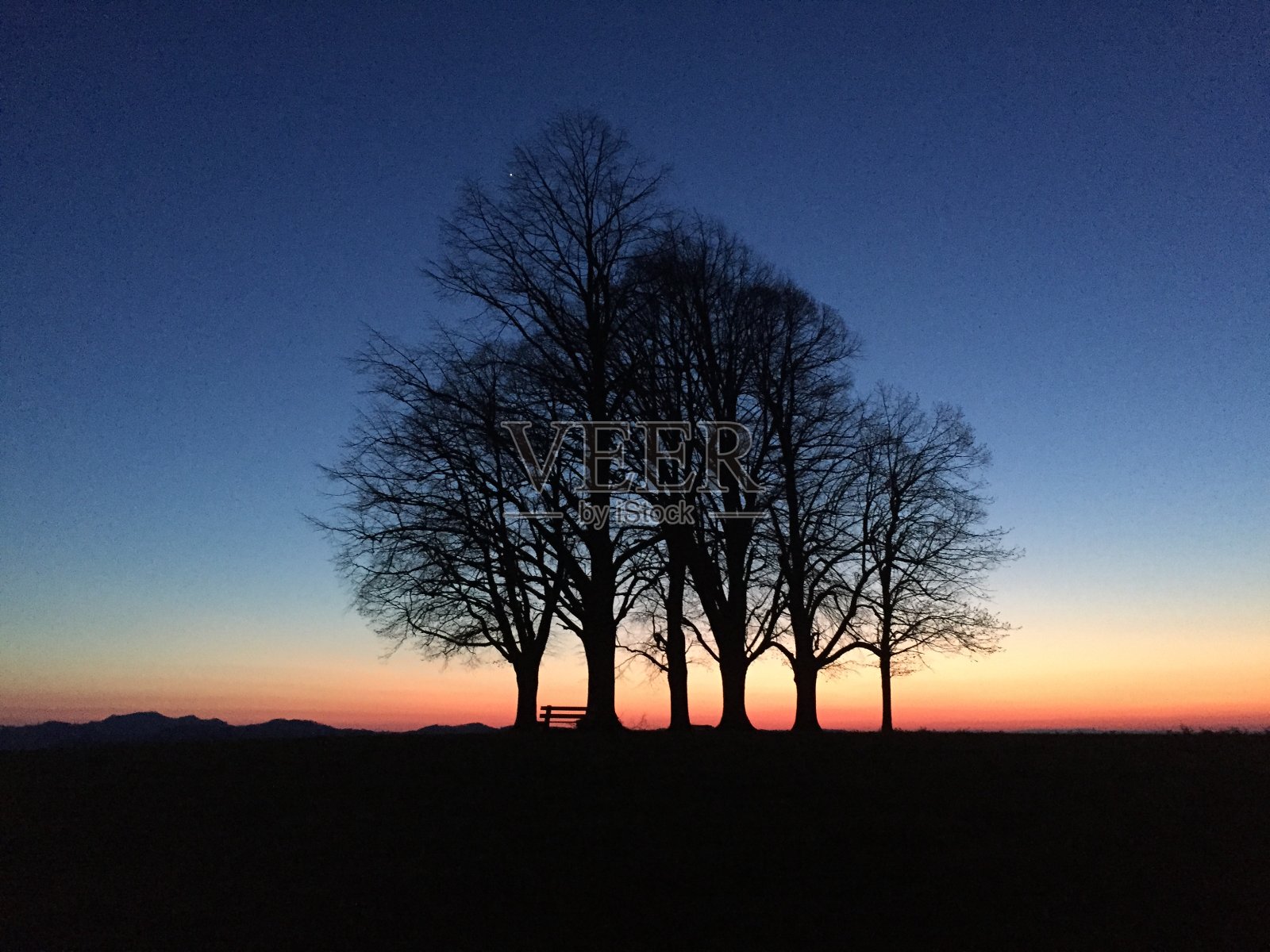 林登照片摄影图片