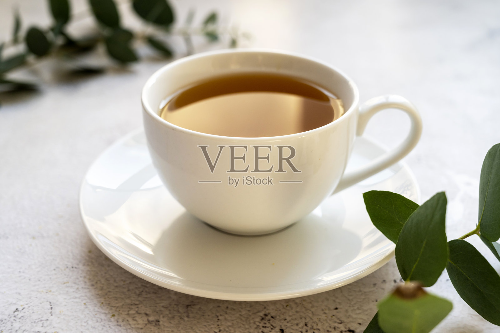 一杯茶,天然茶。早茶配桉树叶照片摄影图片