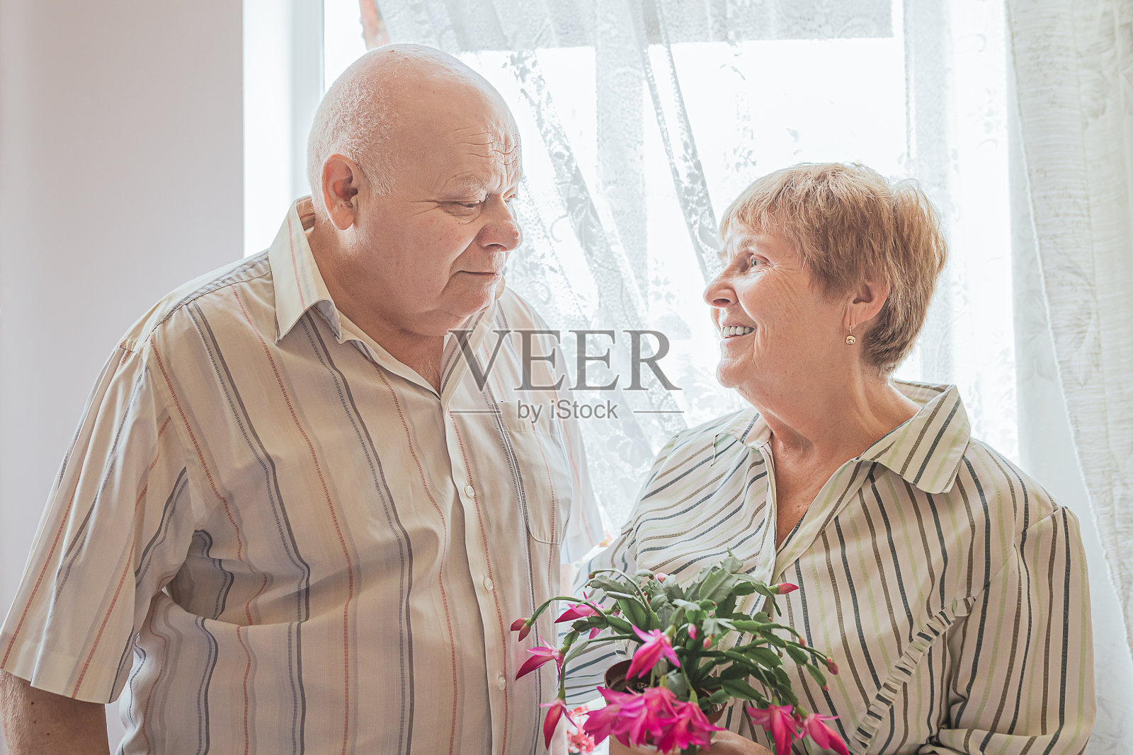 老夫妇亲切地看着对方照片摄影图片