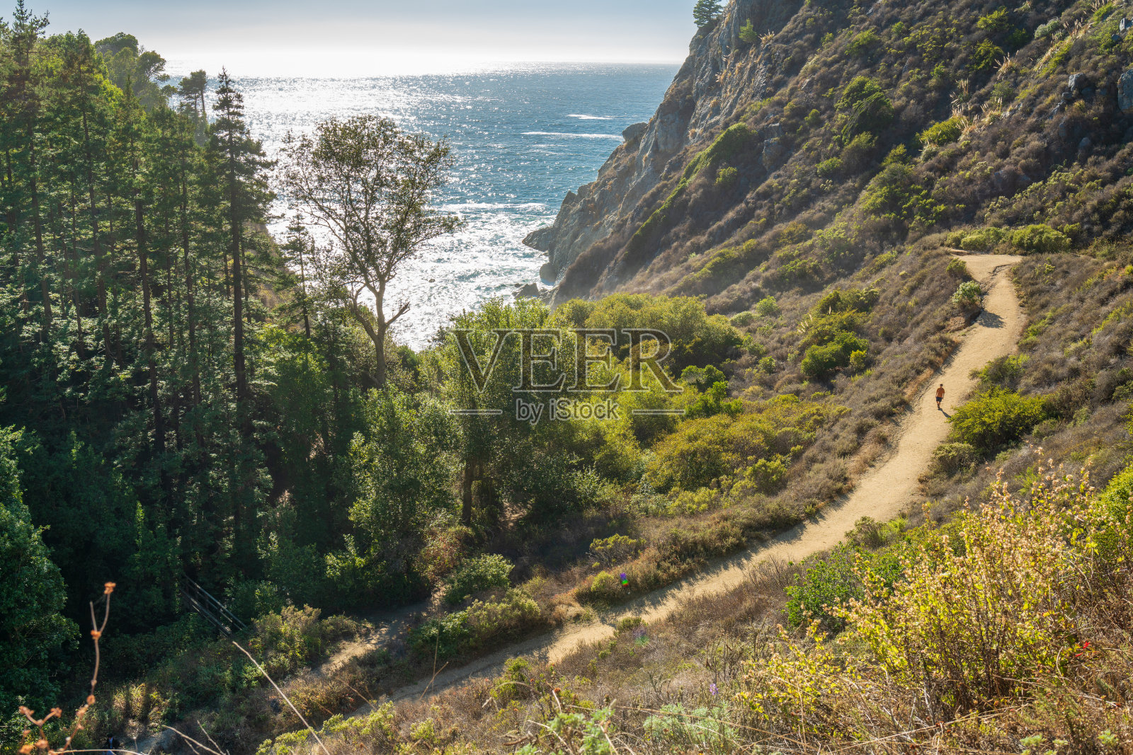 大苏尔加州照片摄影图片