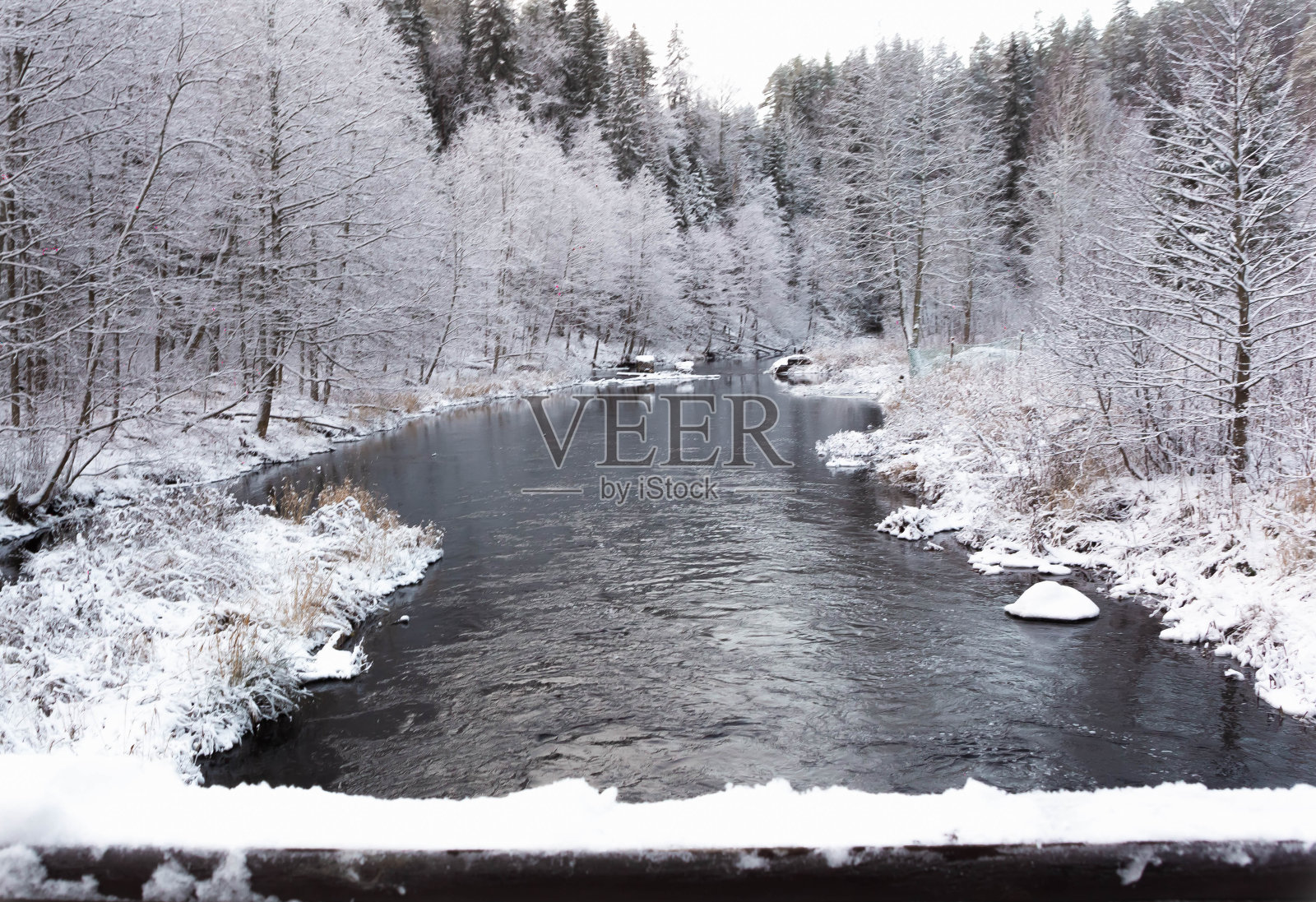 河岸上白雪覆盖的森林里的一个童话照片摄影图片