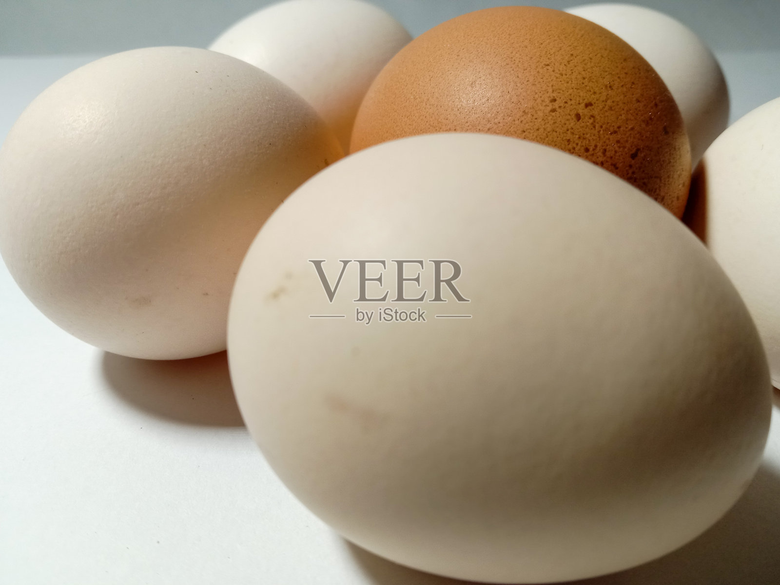 生的鸡蛋照片摄影图片