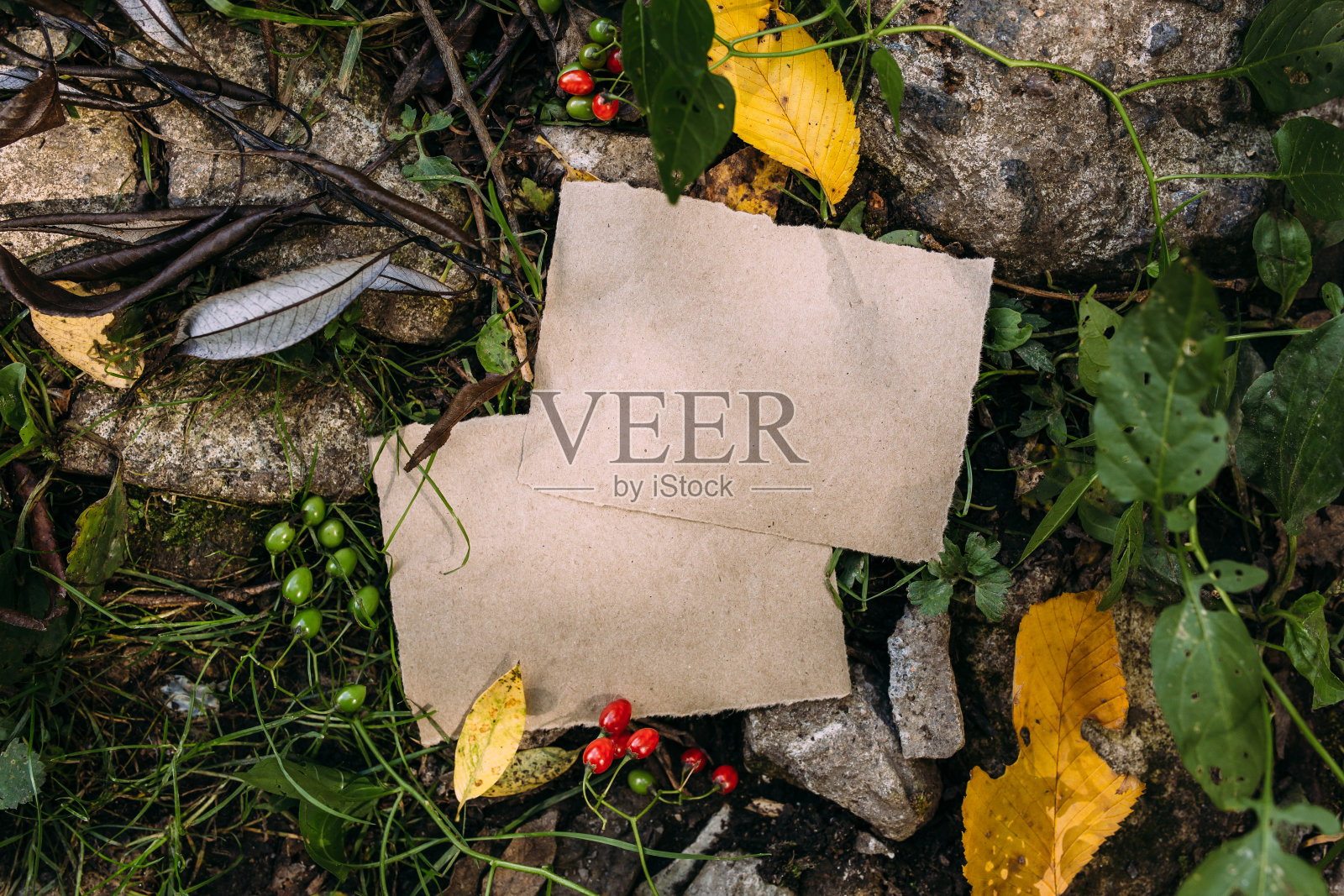 手工纸模版题字或图像以森林秋天的自然为背景,具有神奇神秘的意境。神秘主义,深奥的,魔法,巫术的概念。照片摄影图片