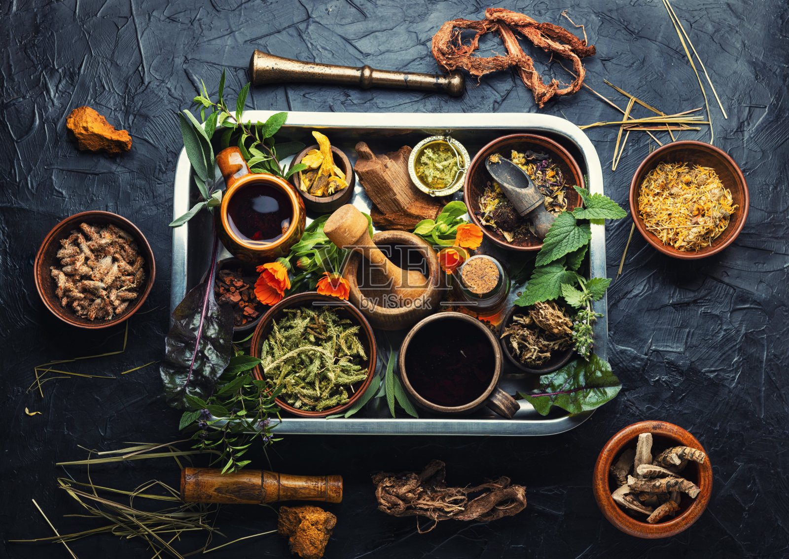 各种药用植物照片摄影图片