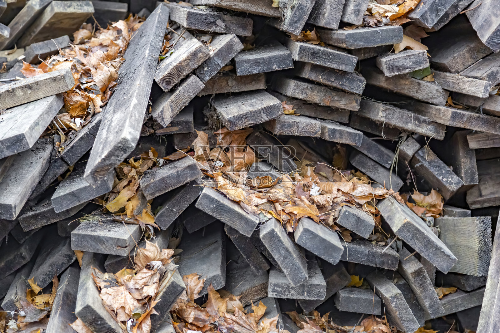 干木板放在后院照片摄影图片