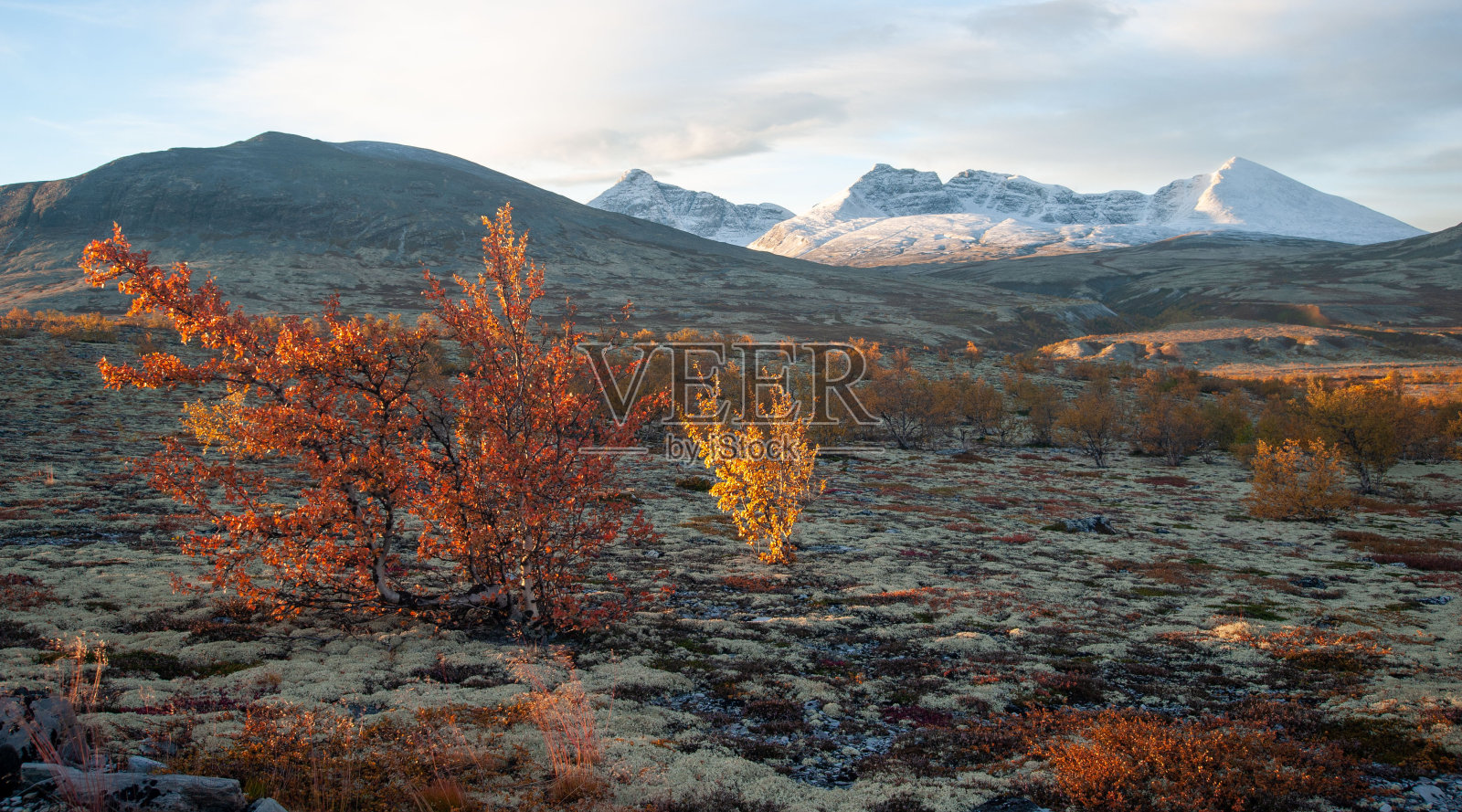 秋天的挪威照片摄影图片