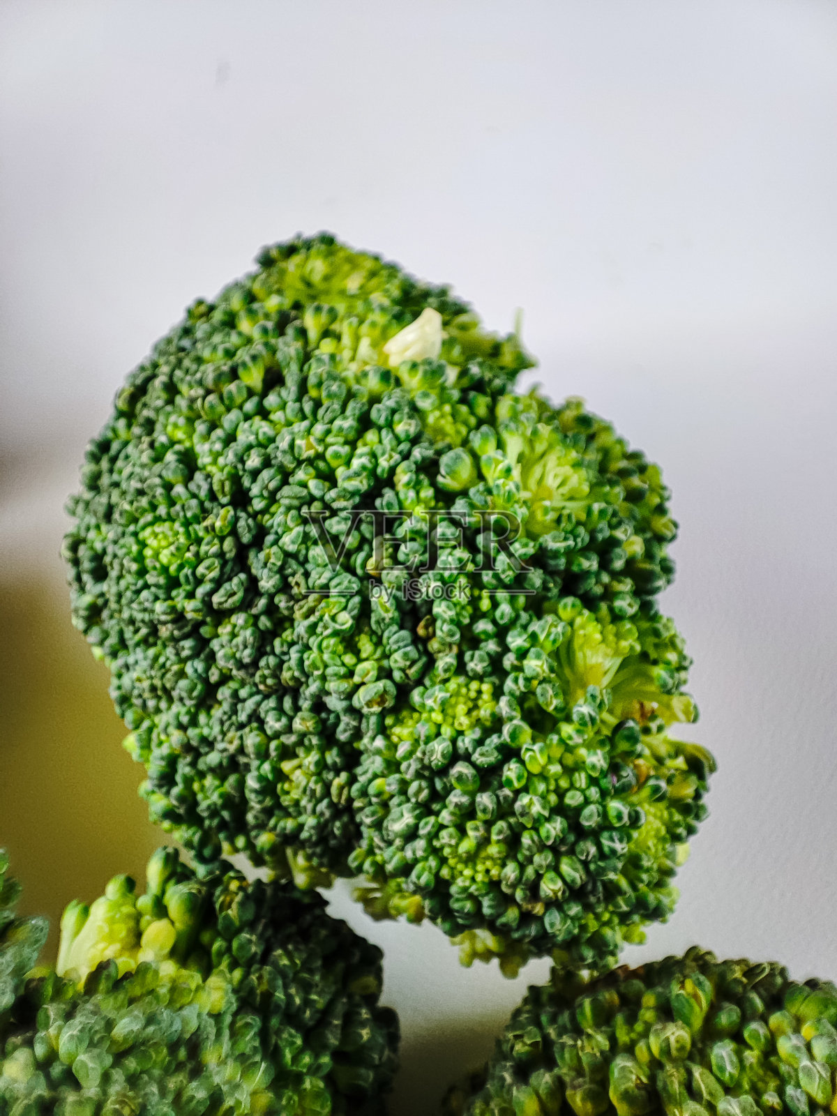 椰菜照相馆为拍摄食物背景照片摄影图片