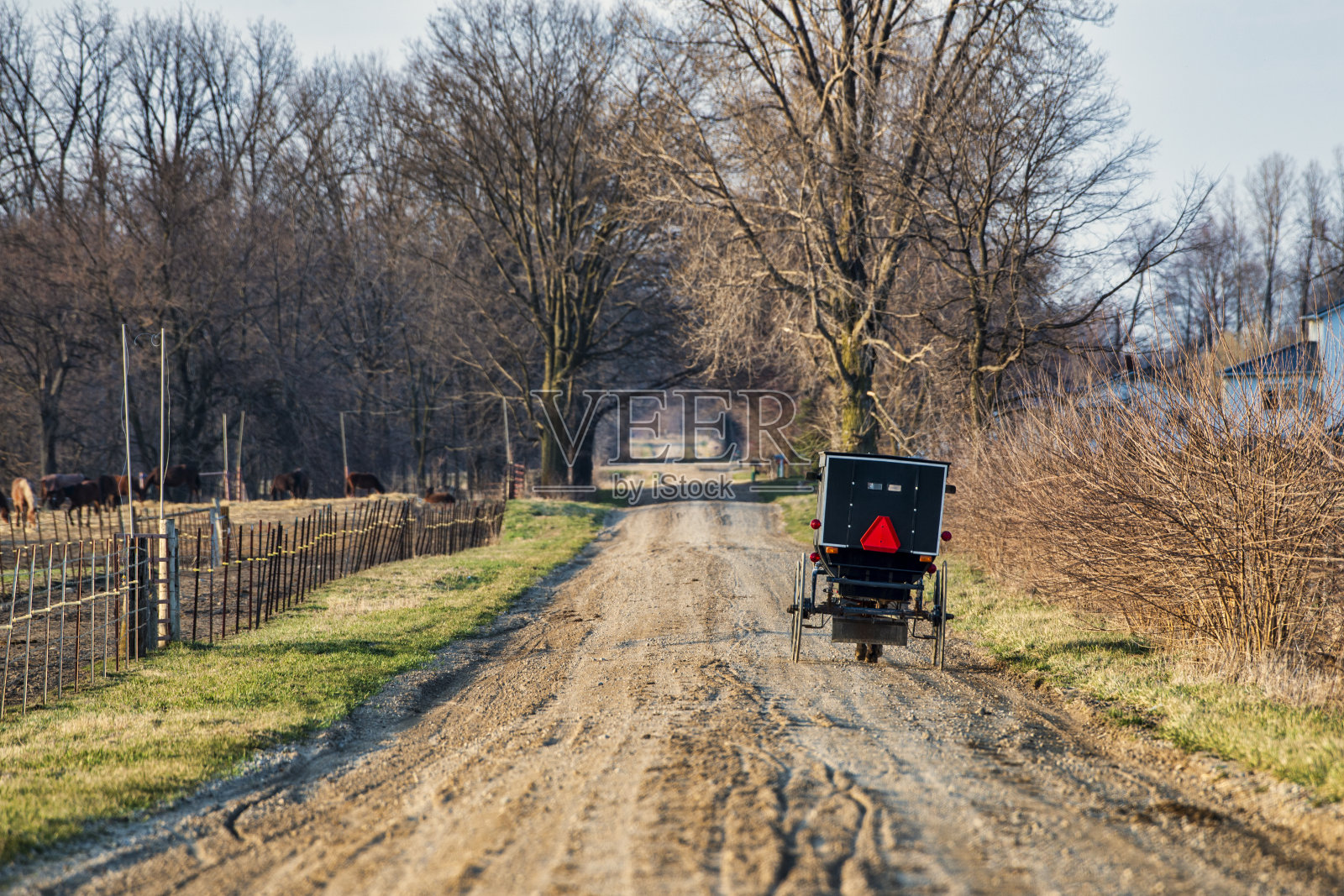 阿米什童车在土路上照片摄影图片