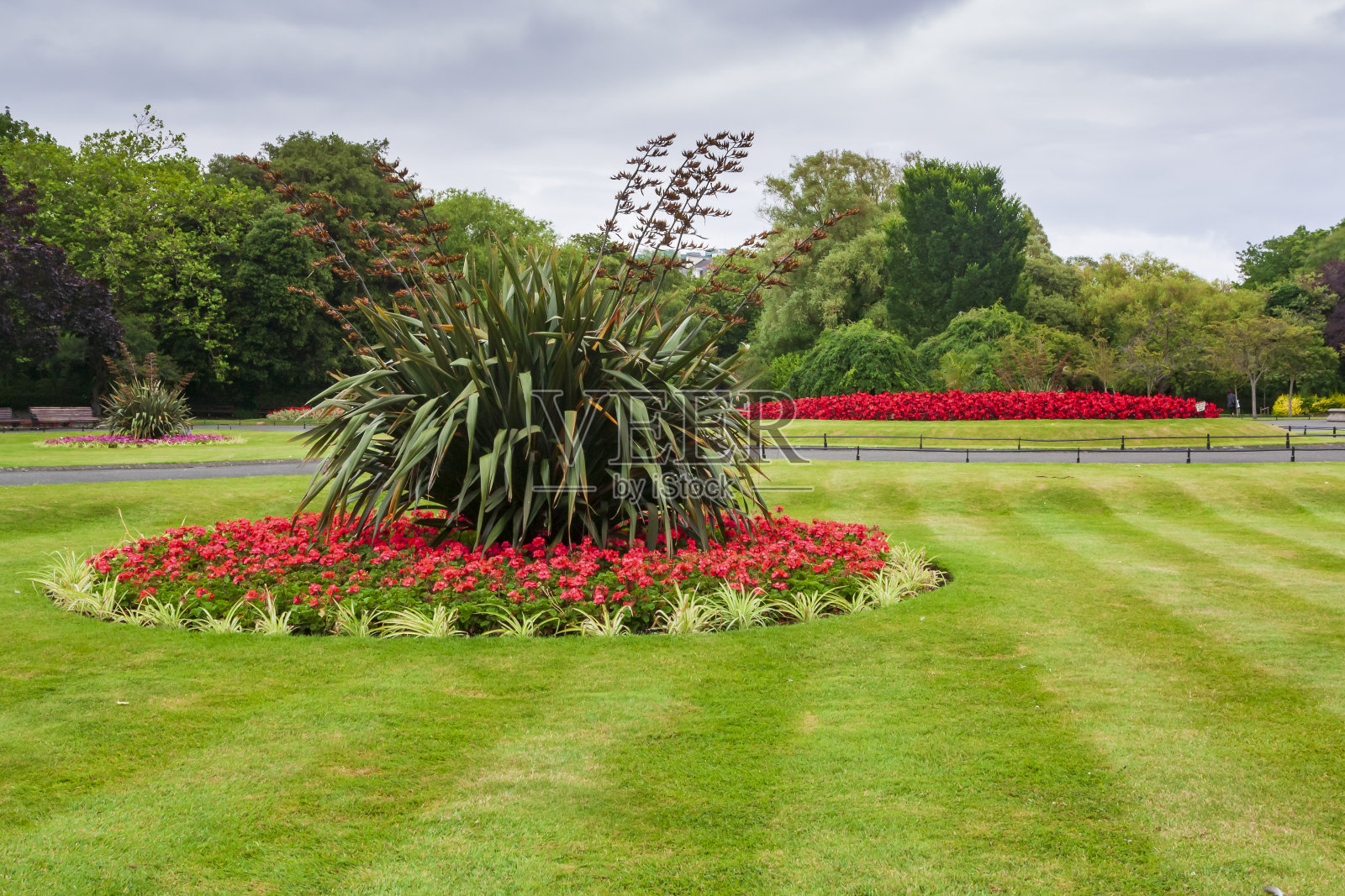 爱尔兰都柏林的花园照片摄影图片