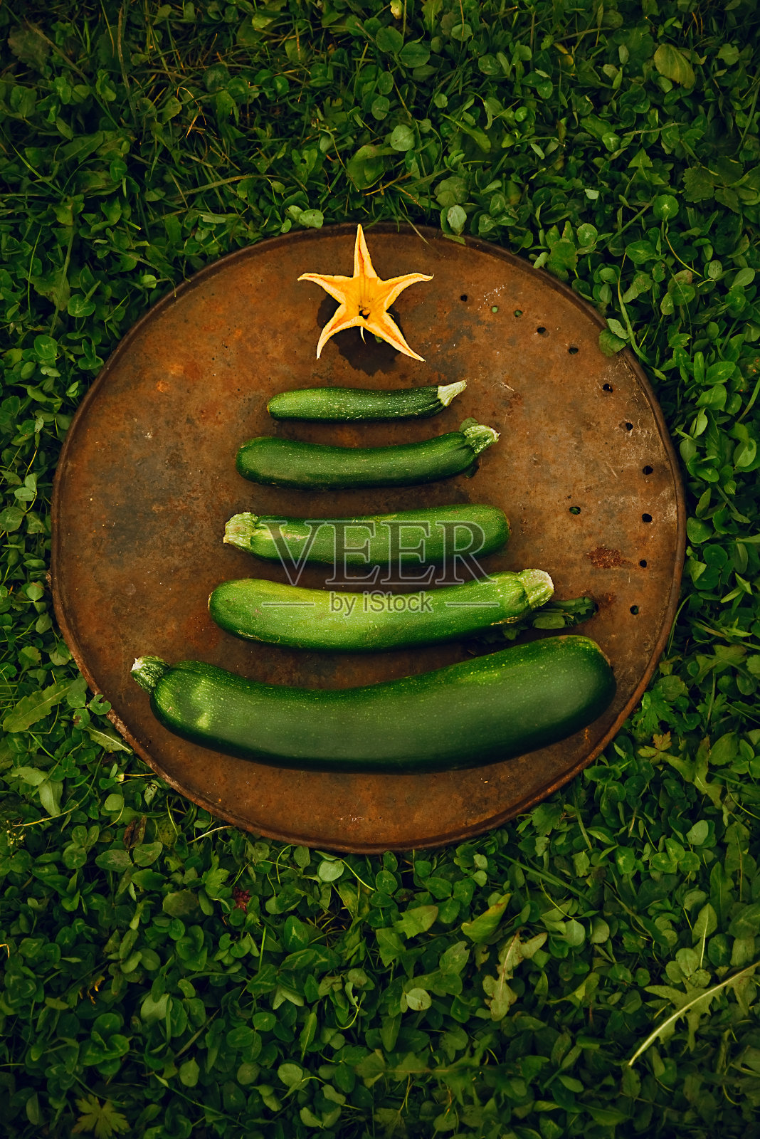 有趣的圣诞树是由蔬菜做成的,生西葫芦上有一颗黄色的星星照片摄影图片