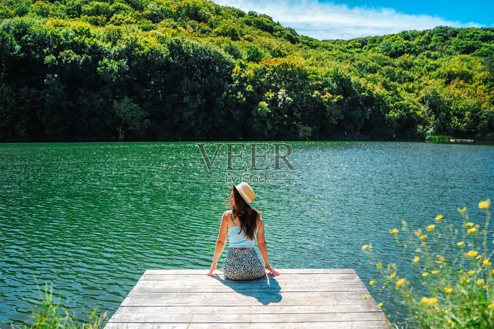 后视图一个年轻美丽的女人正坐在木制码头上的一个令人愉快的蓝色山湖被森林包围照片摄影图片