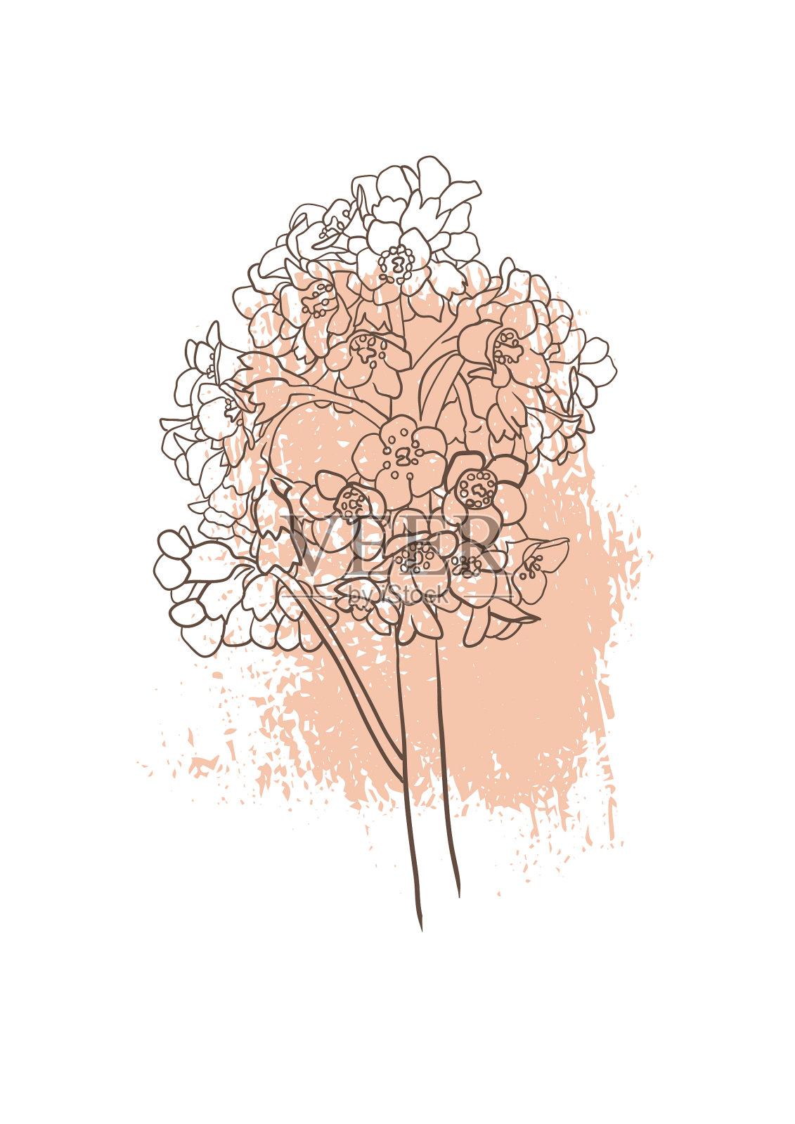 矢量画花卉海报插画图片素材