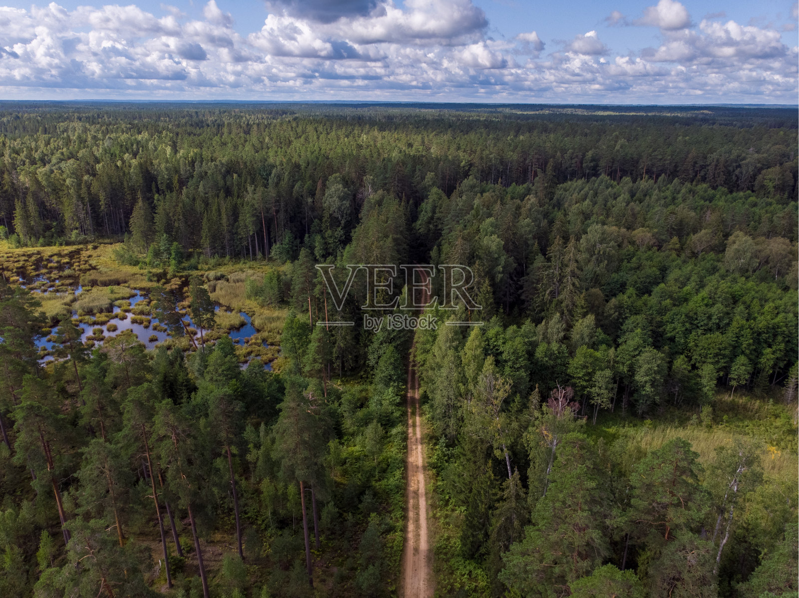 通过森林的小道路的区域无人机视图。照片摄影图片