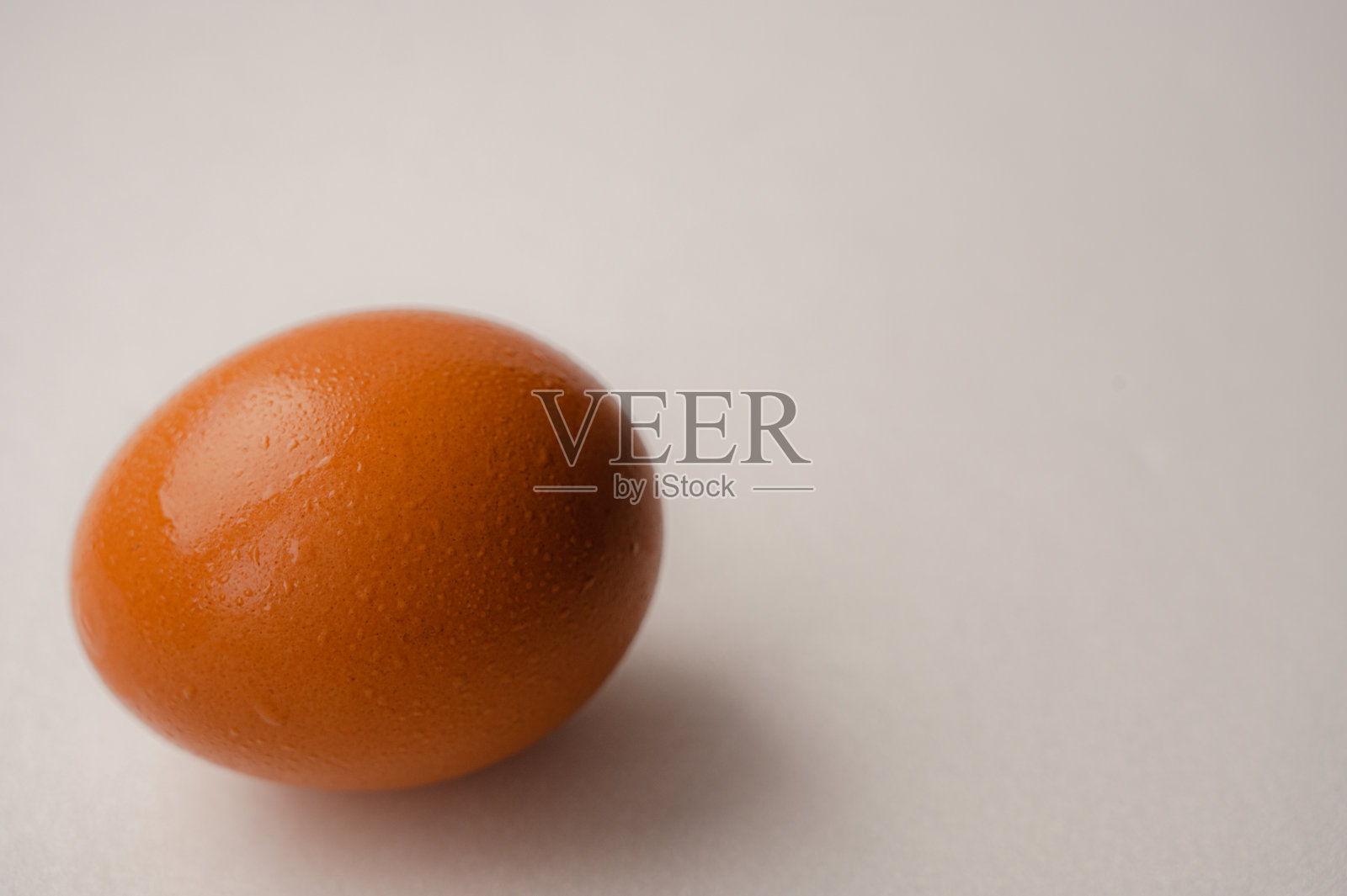 蛋照片摄影图片