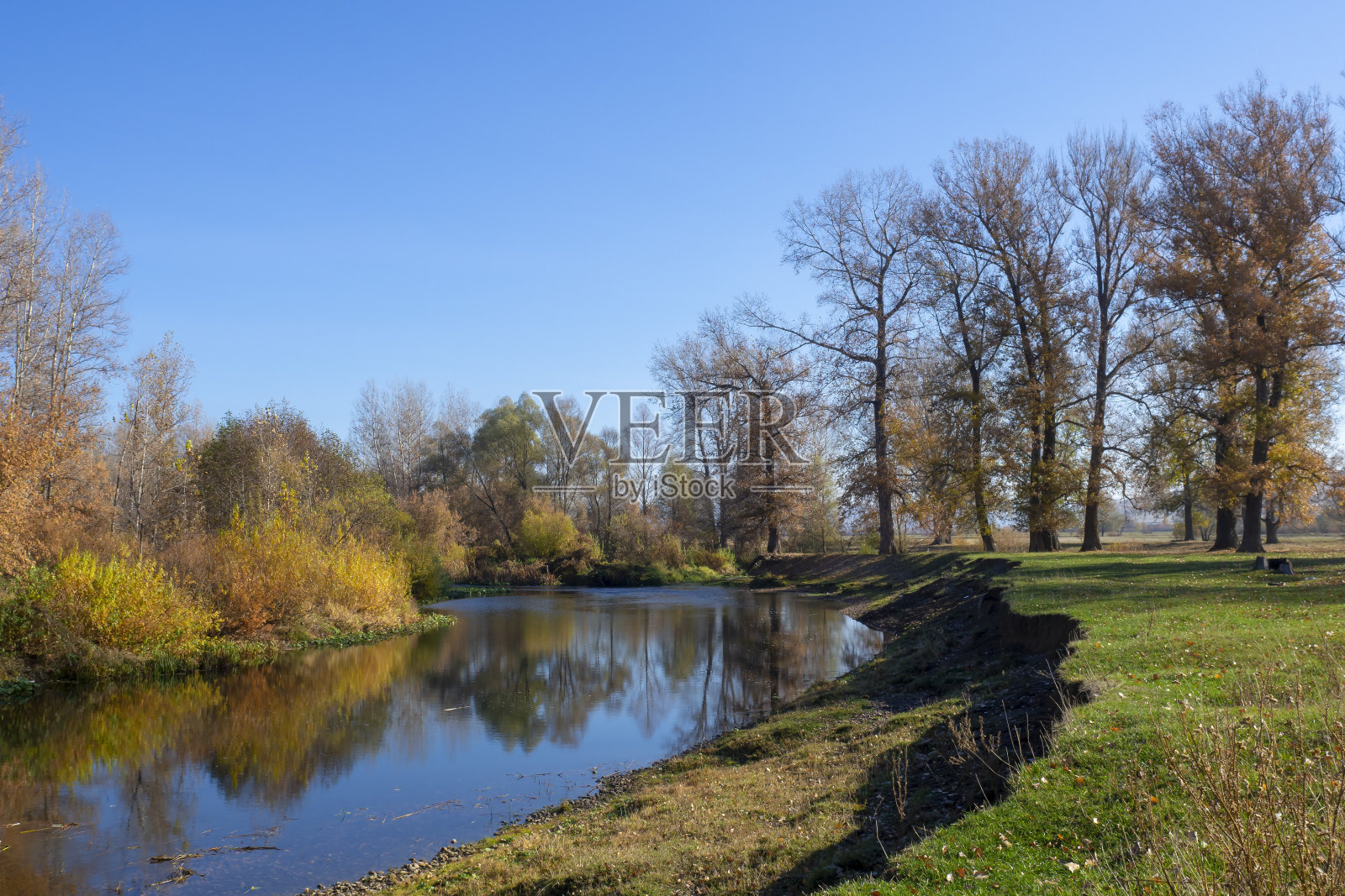 美丽的秋天的风景。小河和河岸上的树木,带着黄色的叶子。秋天的本性。照片摄影图片