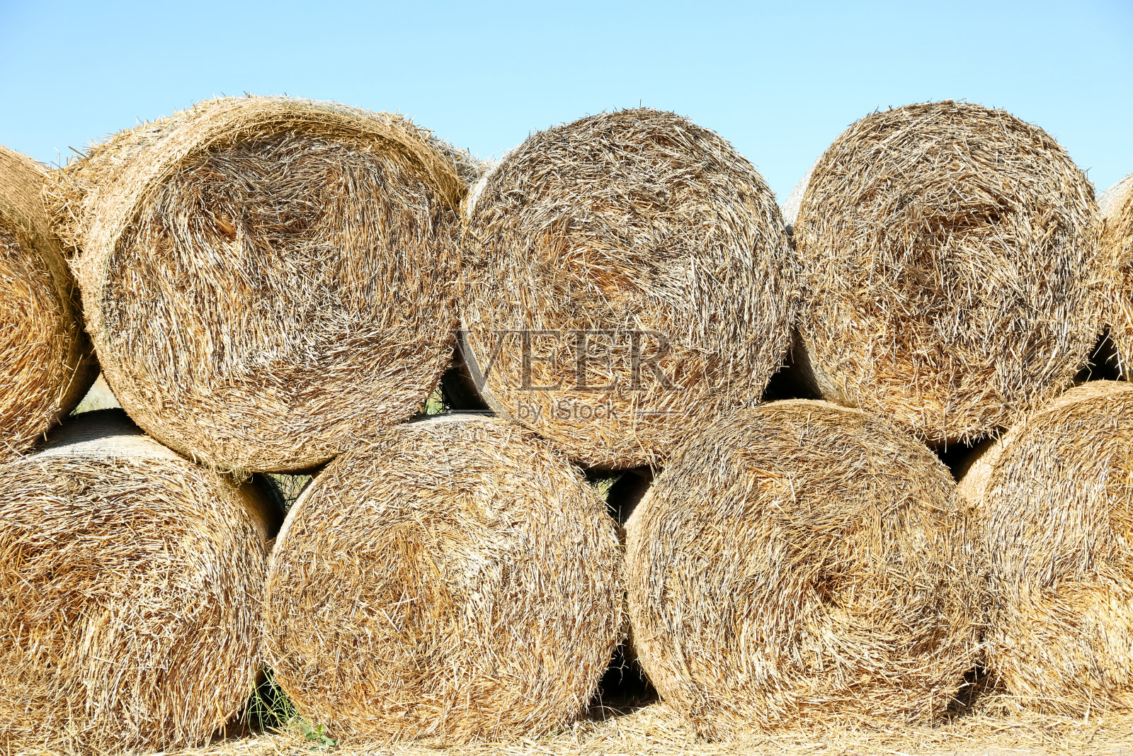 晴天时许多干草堆在户外照片摄影图片