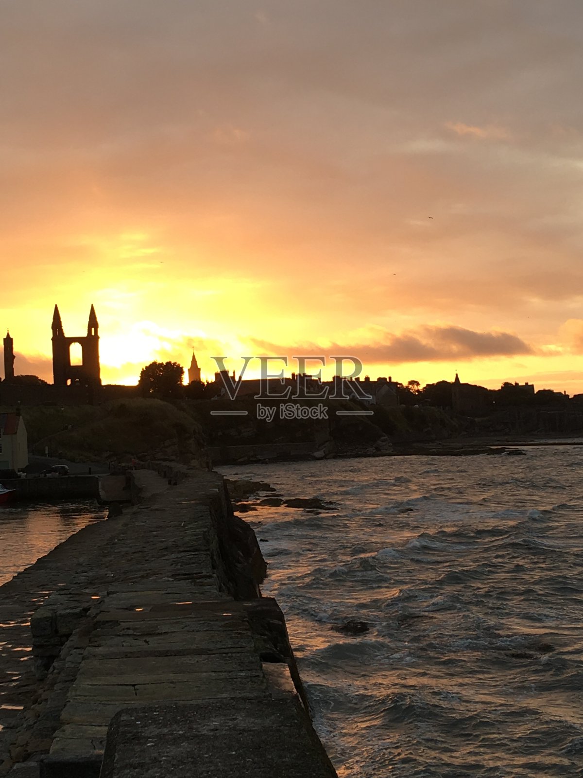 不投降照片摄影图片