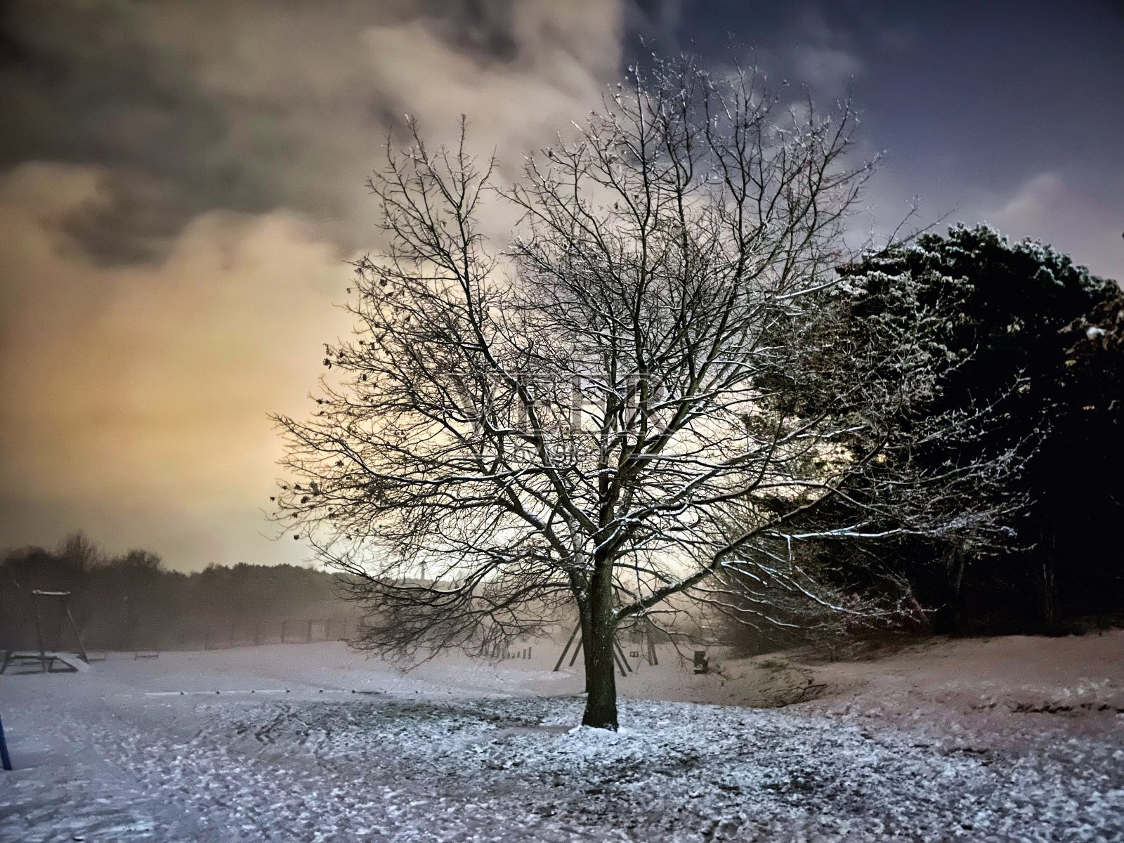操场上照片摄影图片