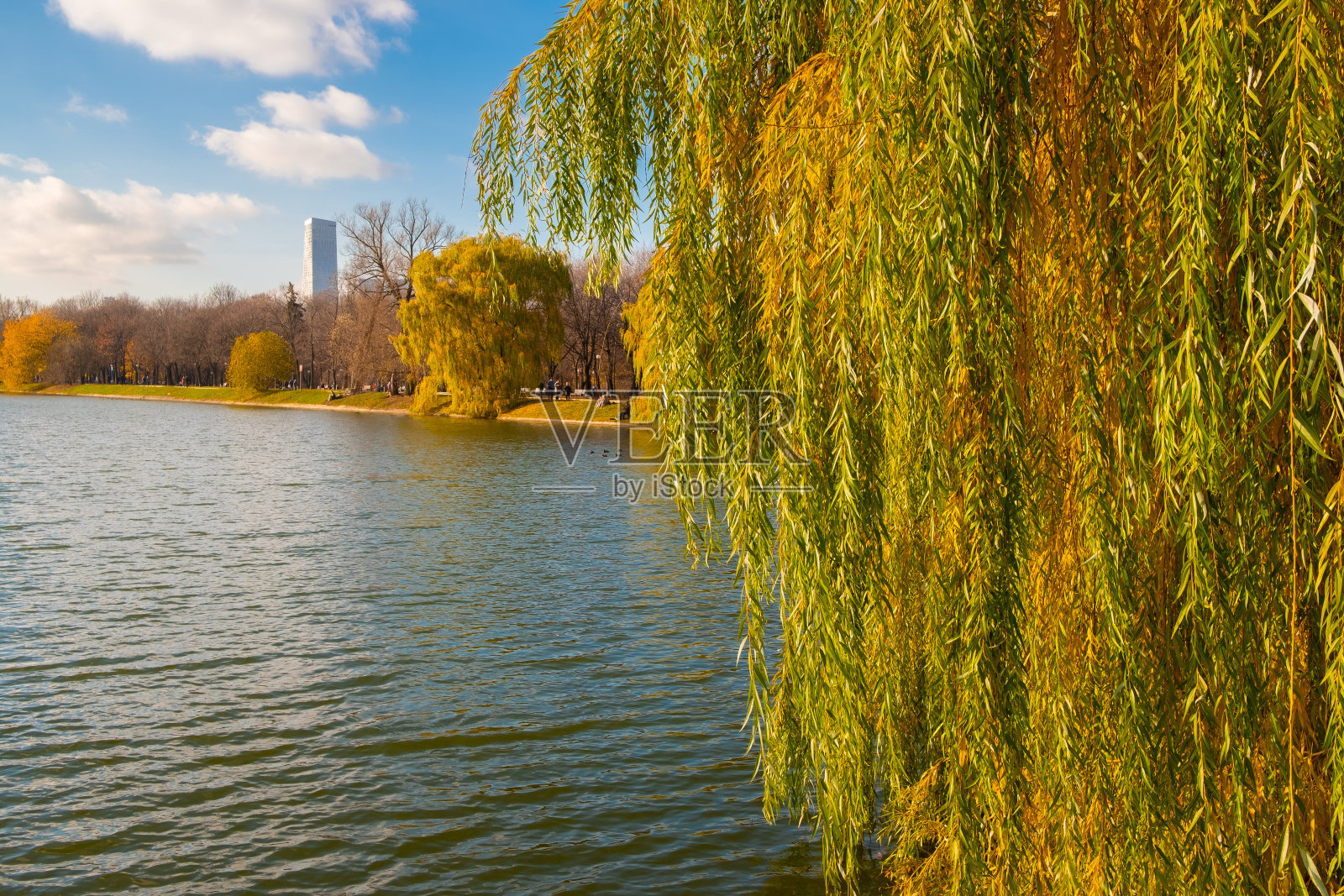 莫斯科秋天的新devichy池塘风景如画。照片摄影图片