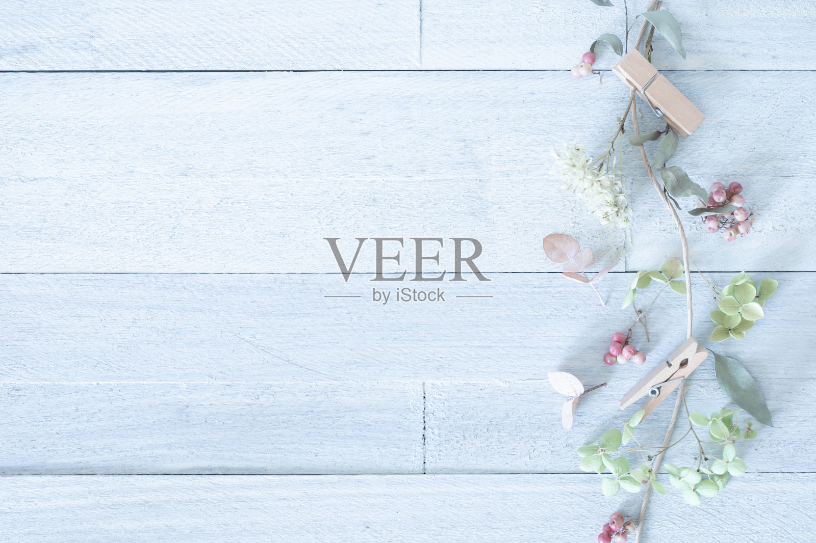 干花,天然植物和花卉背景。照片摄影图片