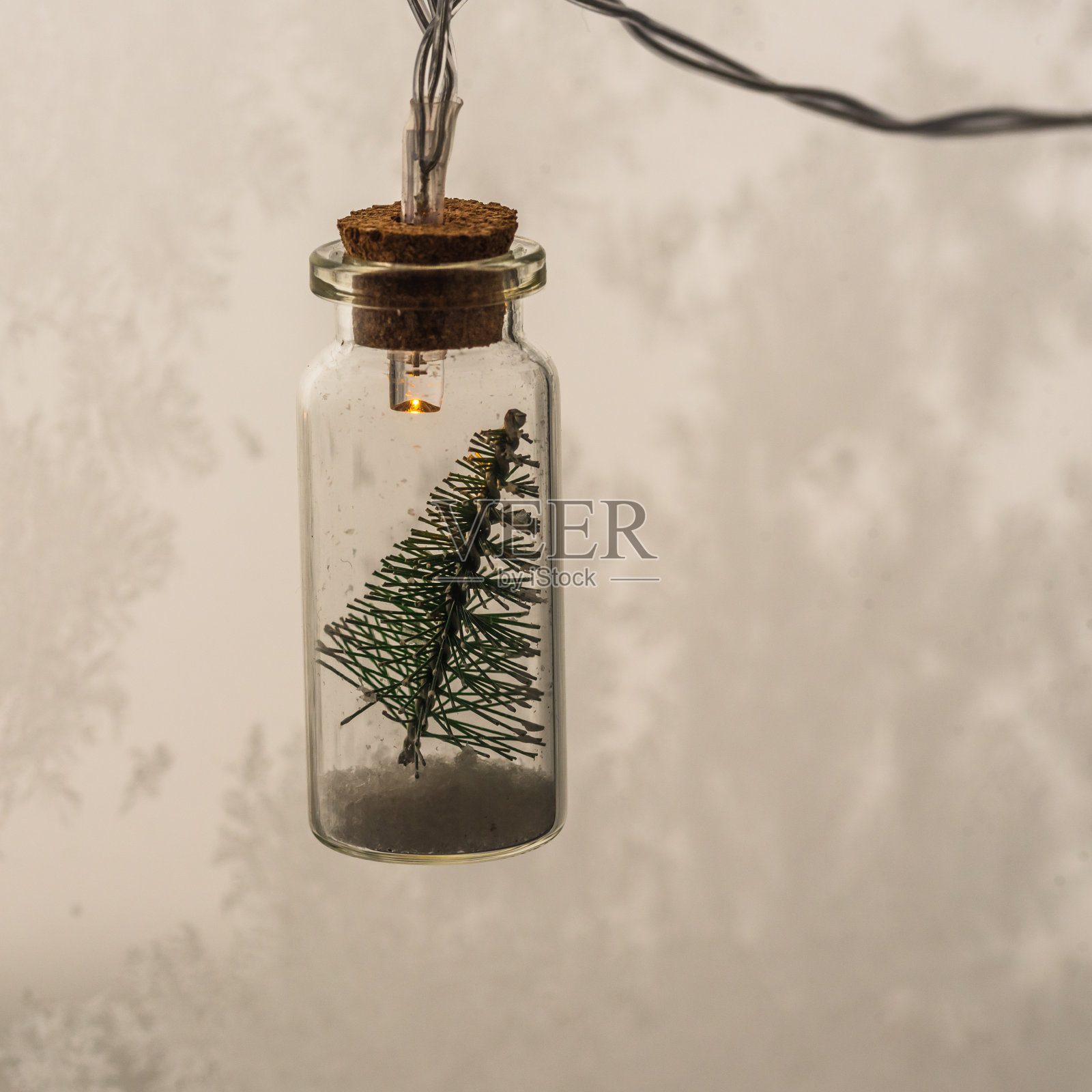 圣诞花环——圣诞树放在玻璃罐里,背景是黑色的照片摄影图片