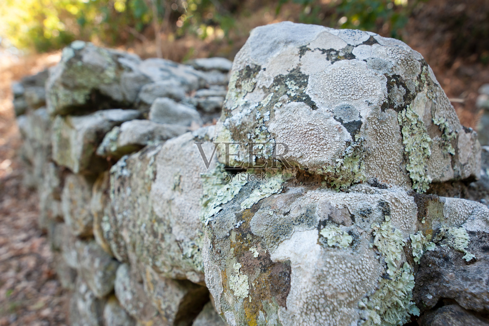 古代城墙的岩石上长满了地衣。照片摄影图片