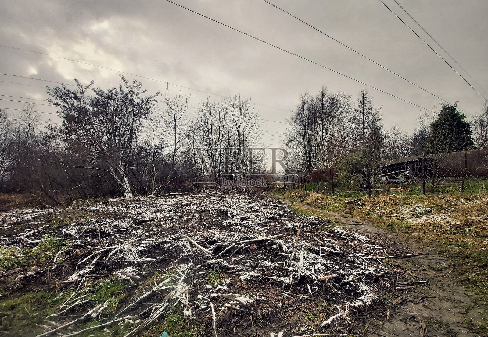 落在田野上的第一场雪照片摄影图片