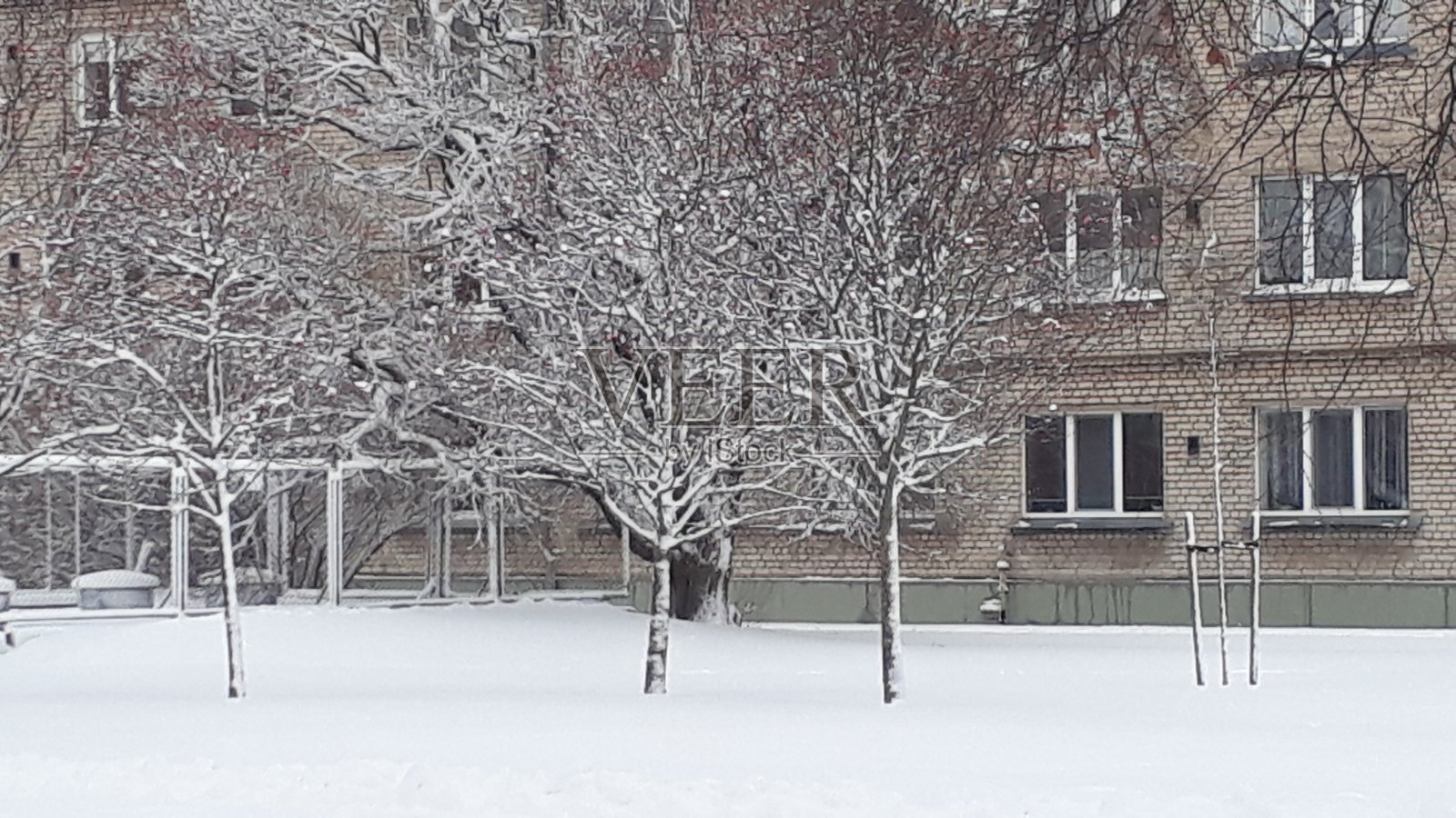 冰雪覆盖的树木。摄影。照片摄影图片