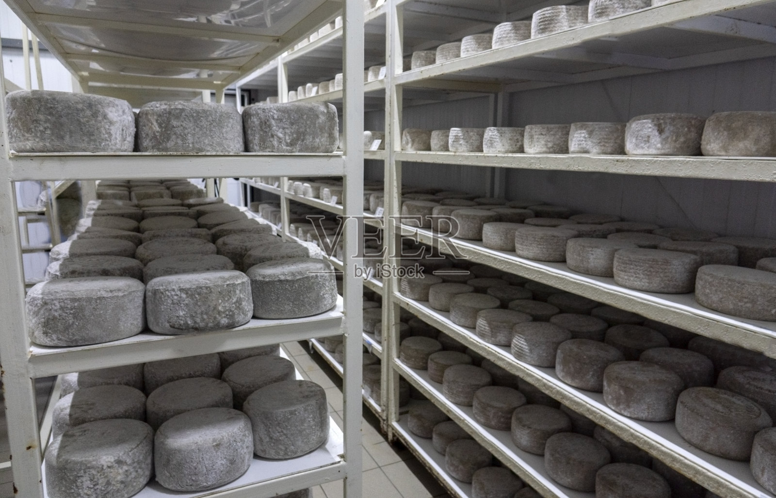 放着陈年奶酪的架子。奶酪行照片摄影图片