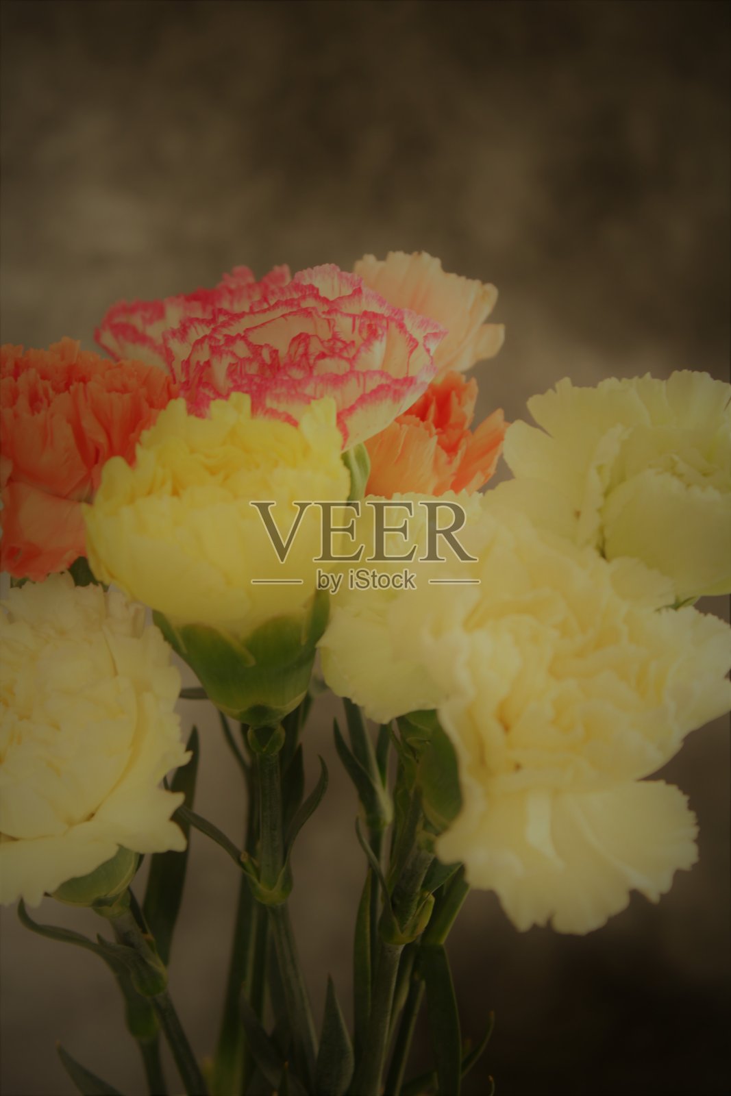 一束花照片摄影图片