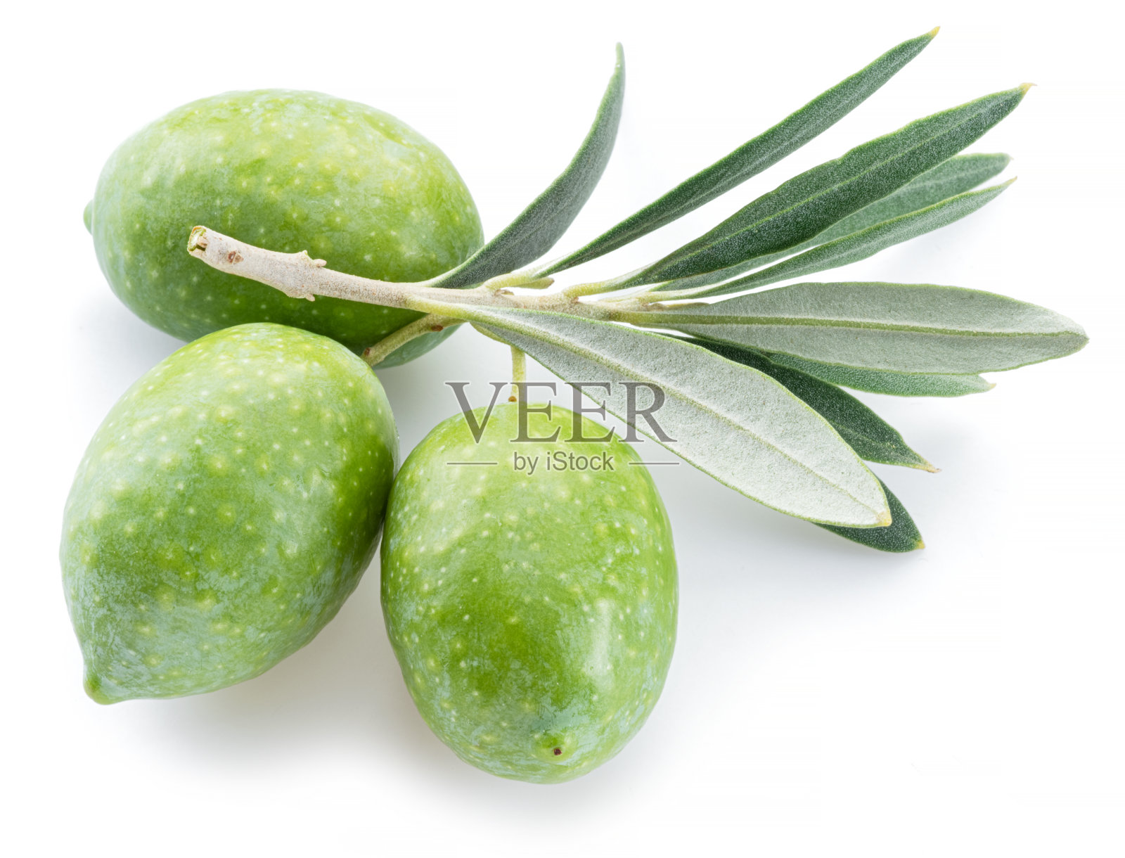 绿色天然橄榄与叶子孤立在白色的背景。照片摄影图片