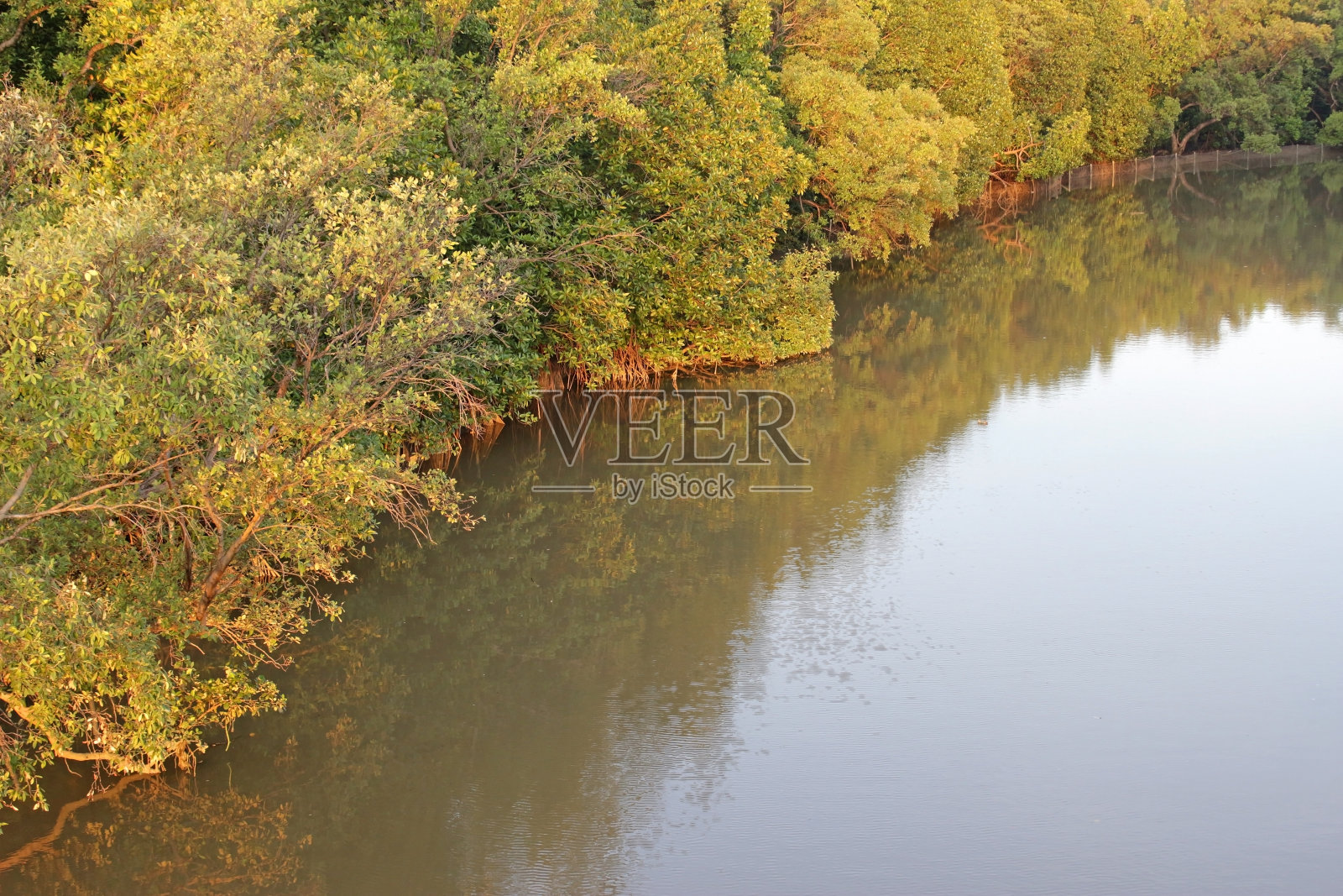 亚洲树木环绕的河流照片摄影图片