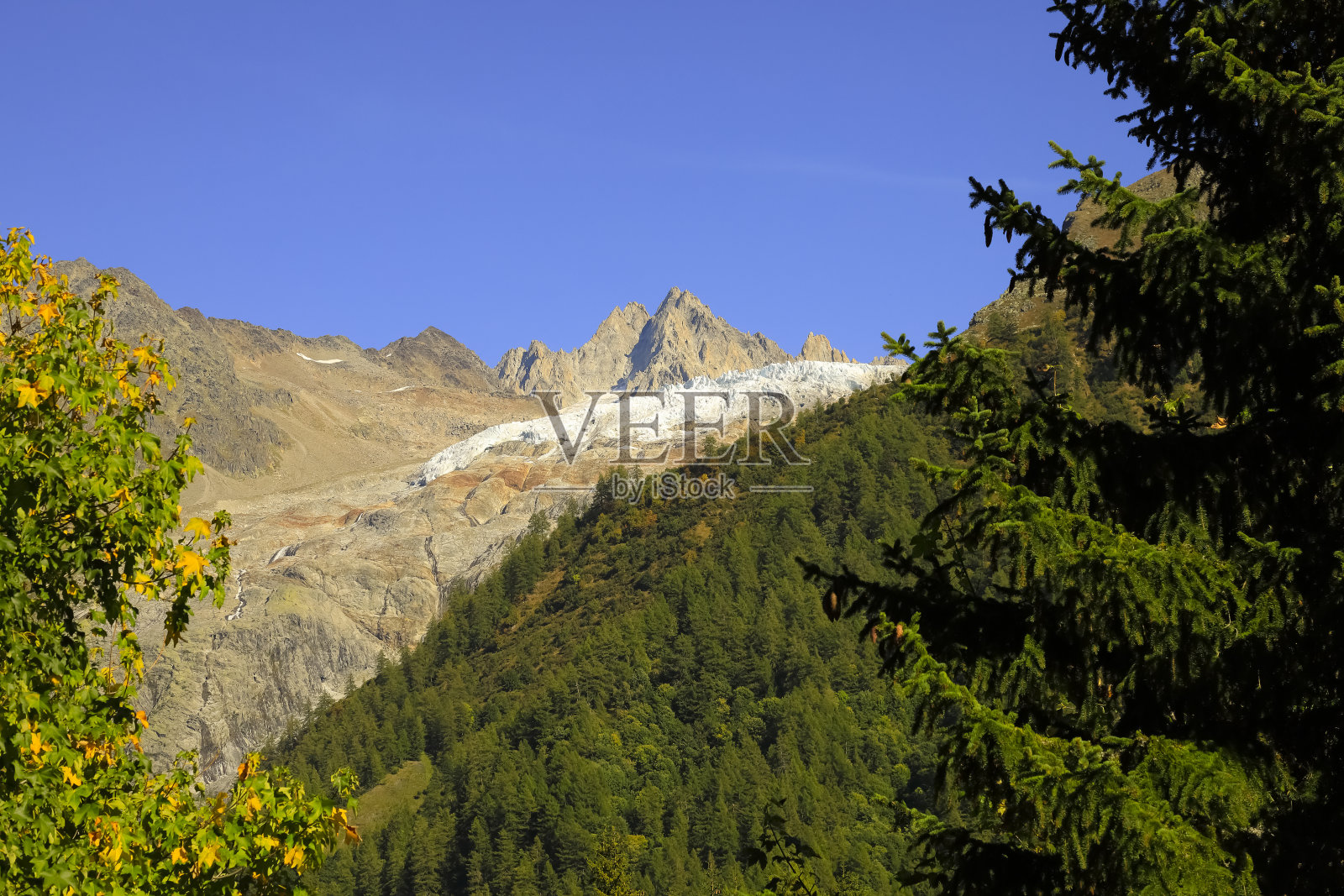 美丽的有森林的落基山脉照片摄影图片