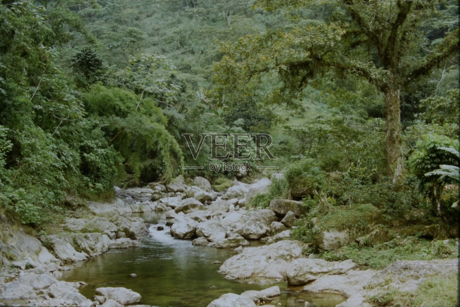 里约照片摄影图片