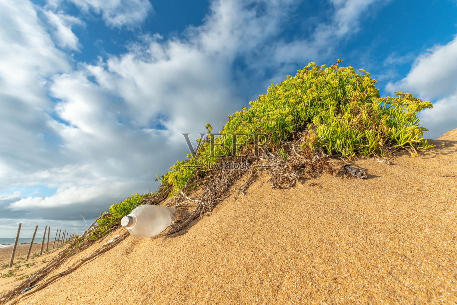 海滩上的污染。塑料瓶留在大自然中。照片摄影图片