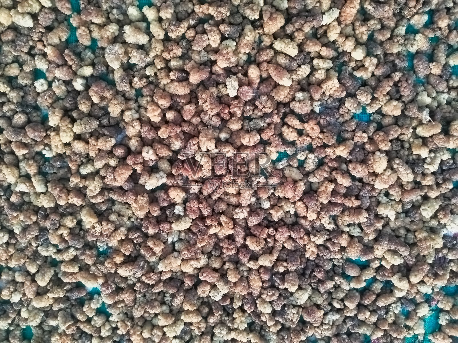 桑椹干照片摄影图片